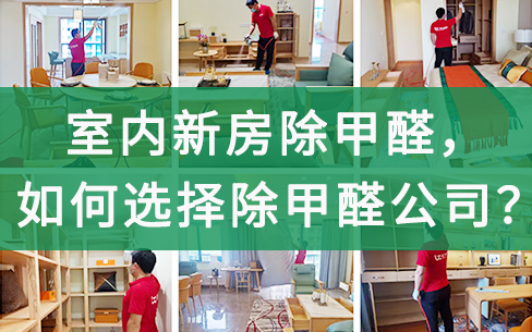 宁波除甲醛公司
