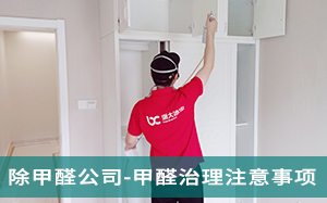宁波去除甲醛公司-提