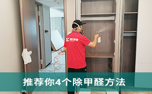 宁波除甲醛公司-4个实