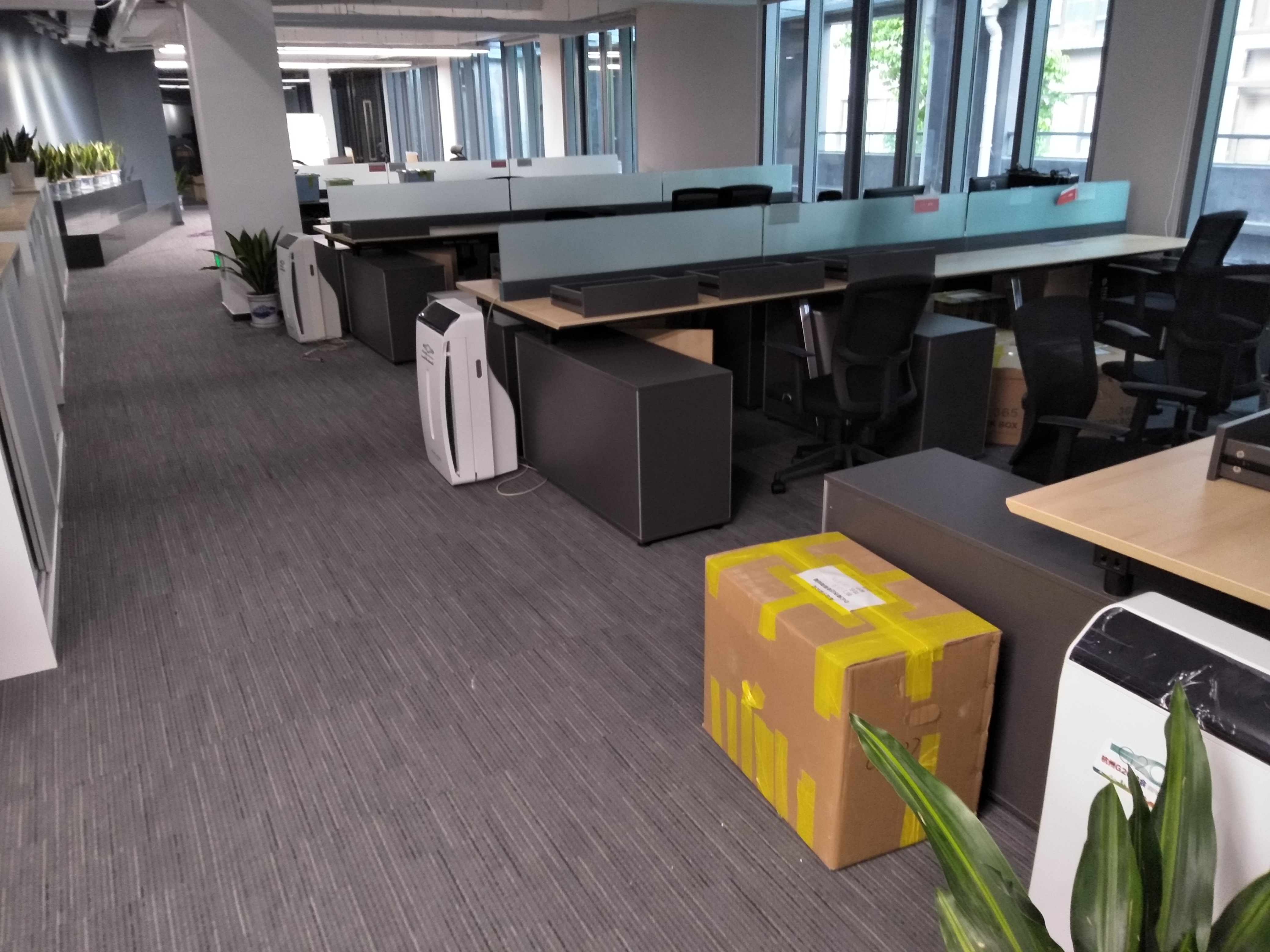 宁波冰虫除甲醛工程师